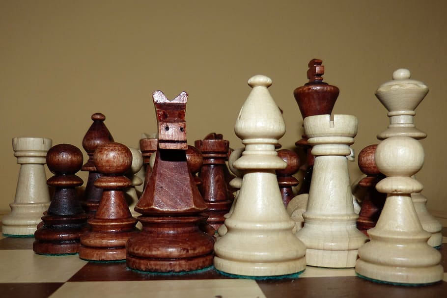 chess, chess pieces, chess game, black and white, play, figures, lady, king, runners, springer