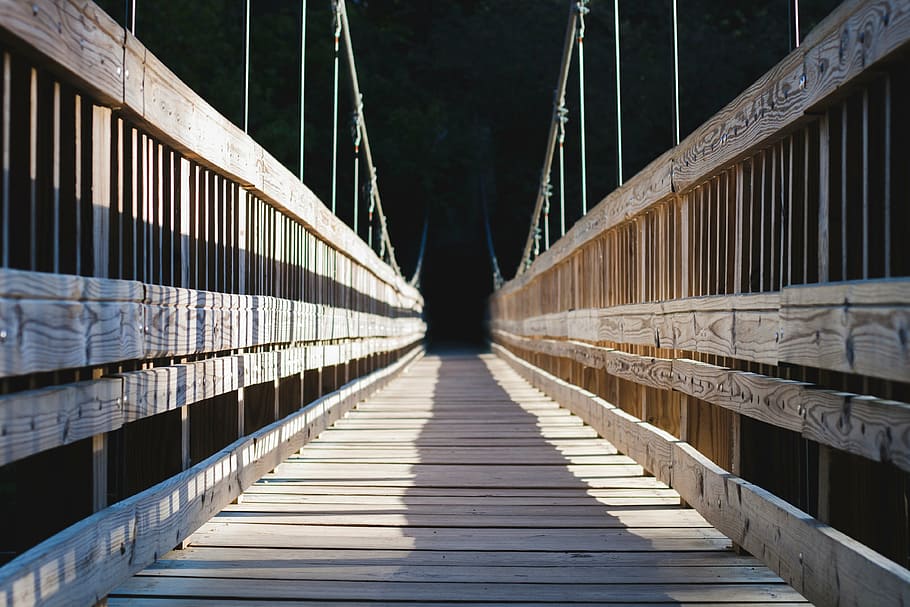 white wooden bridge, brown, wooden, bridge, pathway, forest, trees, plants, adventure, outdoor