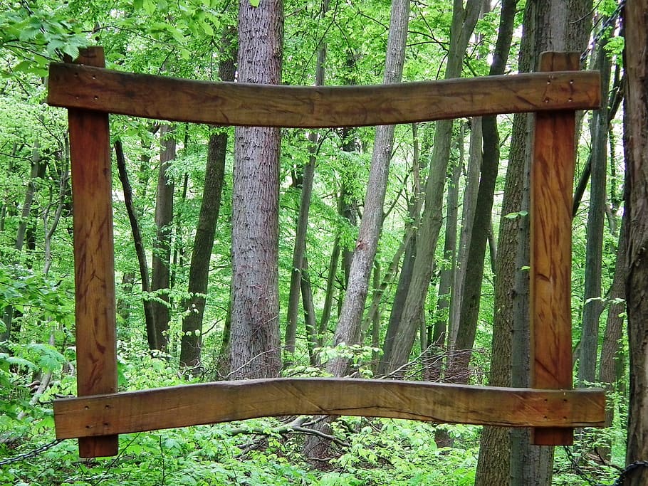 closeup, rectangular, brown, wooden, frame, forest, tree, nature, green, log