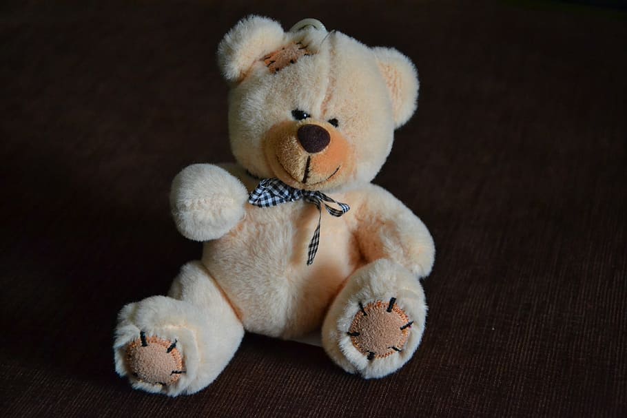 beige teddy bear, teddy bear, bears, misiak, plush, toy, toys, bean bag plush, children, kids