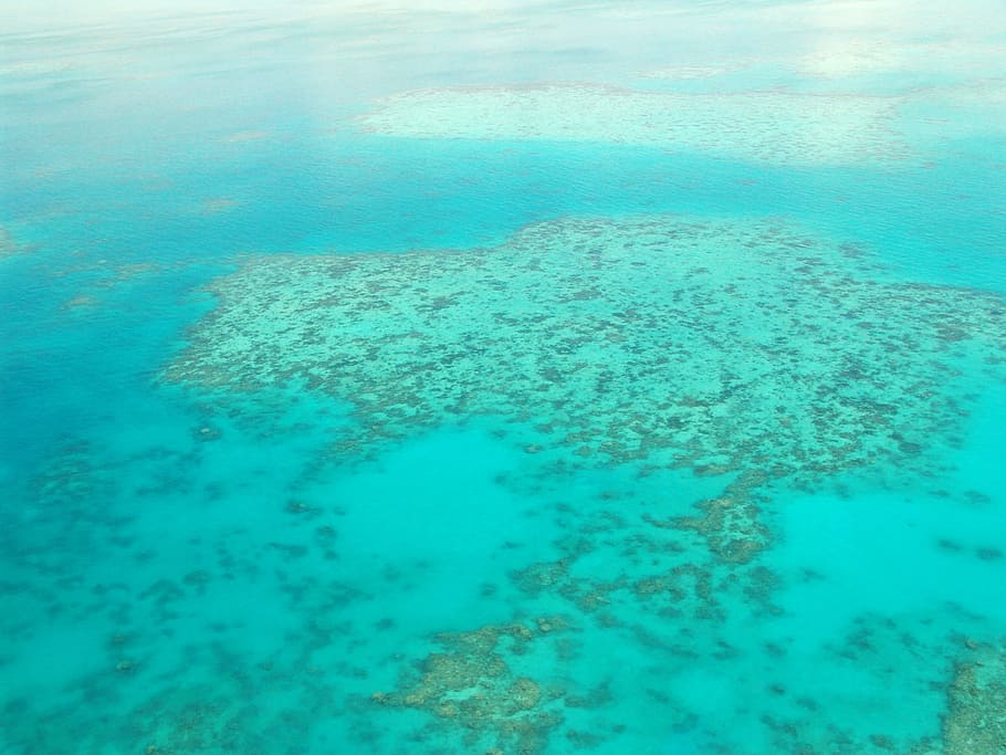 Gran barrera de coral, buceo, coral, océano, pacífico, vista aérea, australia, amplia, agua, mar