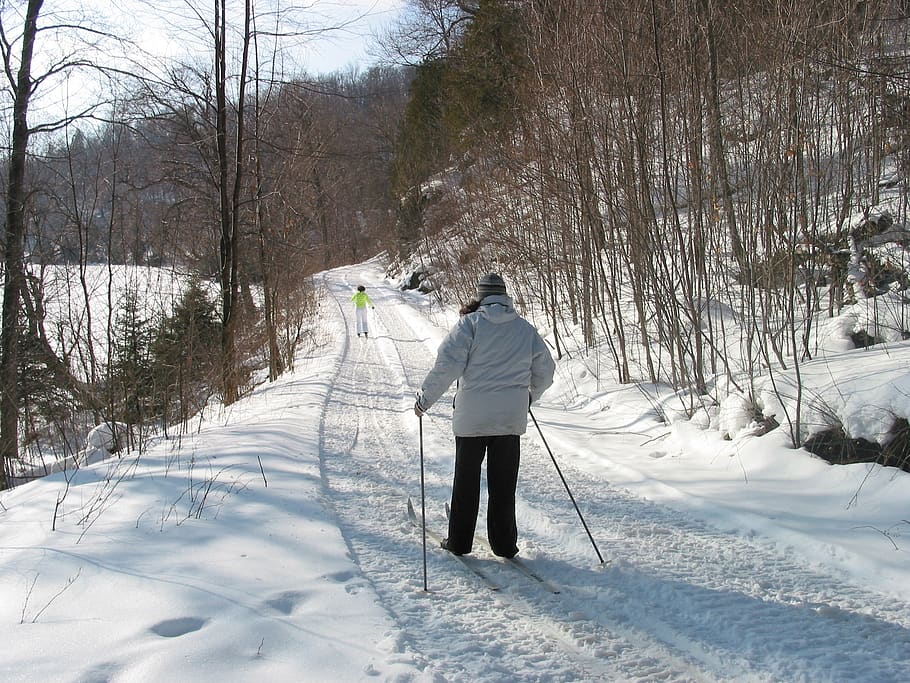 ski lintas negara, salju, musim dingin, dingin, ontario, Kanada, negara, olahraga, alam, lintas negara