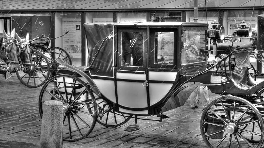 carro, carruagem, quatro do mesmo tipo, carrinho, diligência, o cavalo, transporte, antiga, cinza, rodas