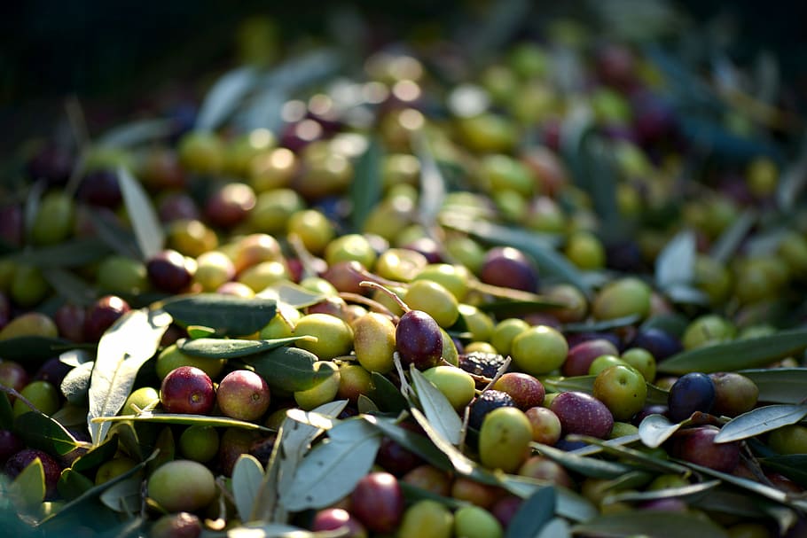 grape lot, olives, provence, france, food, nature, freshness, organic, fruit, leaf