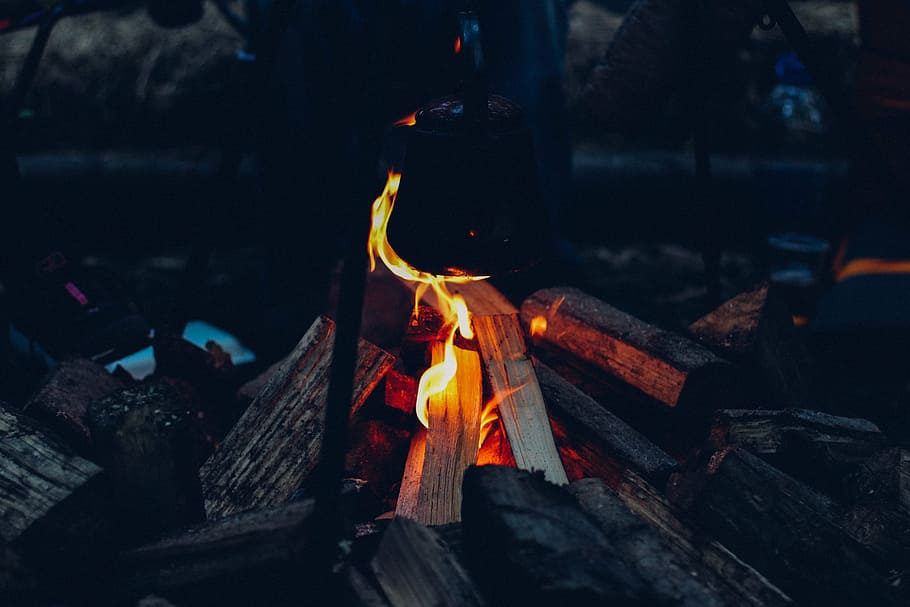 bonfire, flame, nighttime, fire, flames, wood, logs, camping, outdoors, night