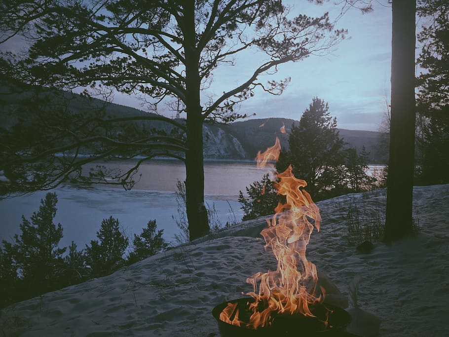 bonfire, lake photo, fire, lake, tree, water, one, river, recreation, reflection