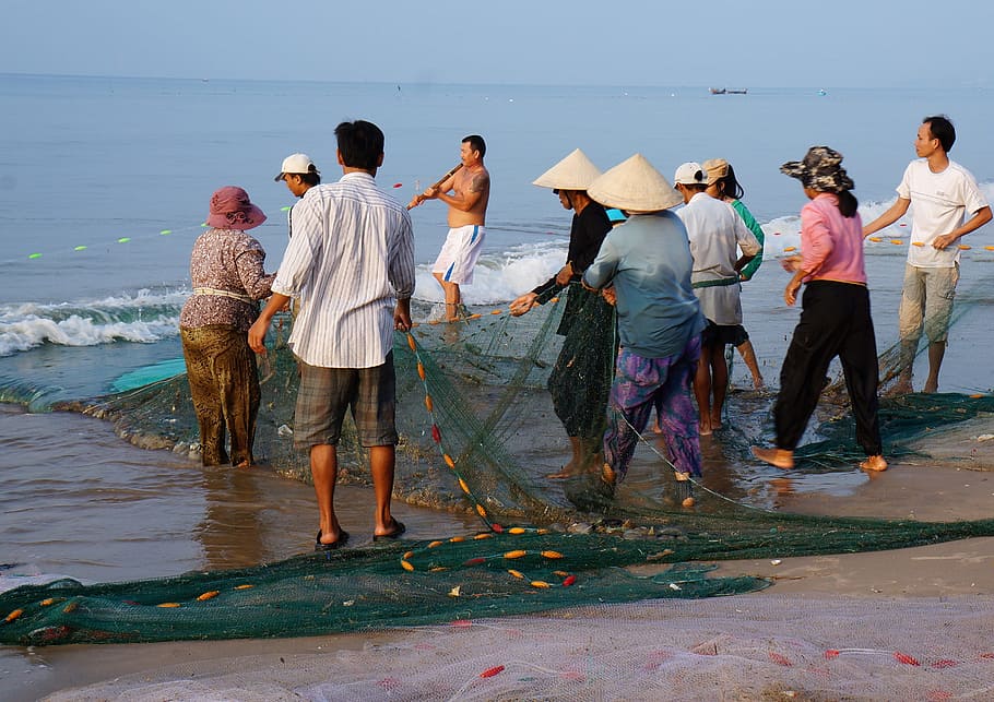 漁村, 引き網, 海, 生活, 人々, ベトナム, 人々のグループ, 全身, 実在の人々, ビーチ