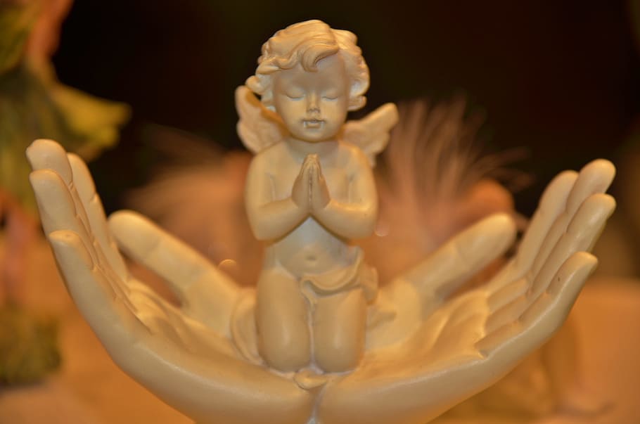 close-up photography, cherub, praying, hands, ceramic, figurine, angel, wing, heavenly, religion