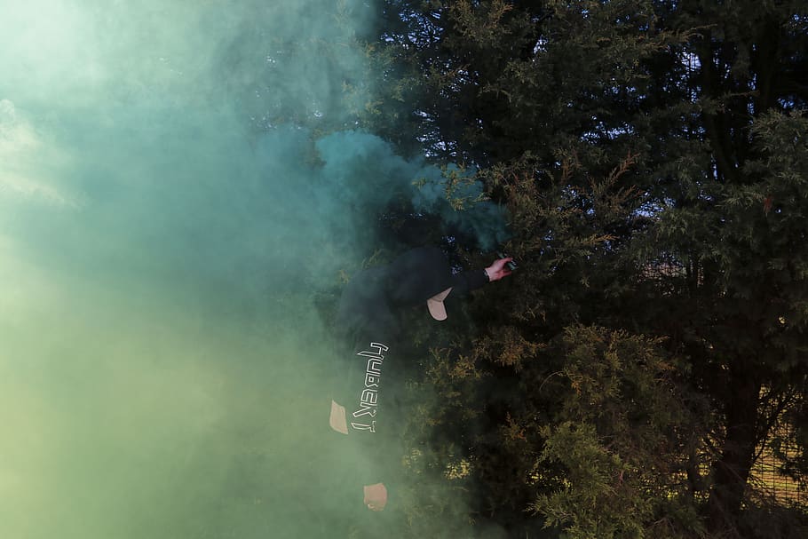 green, trees, plant, nature, smoke, outdoor, real people, water, day, lifestyles