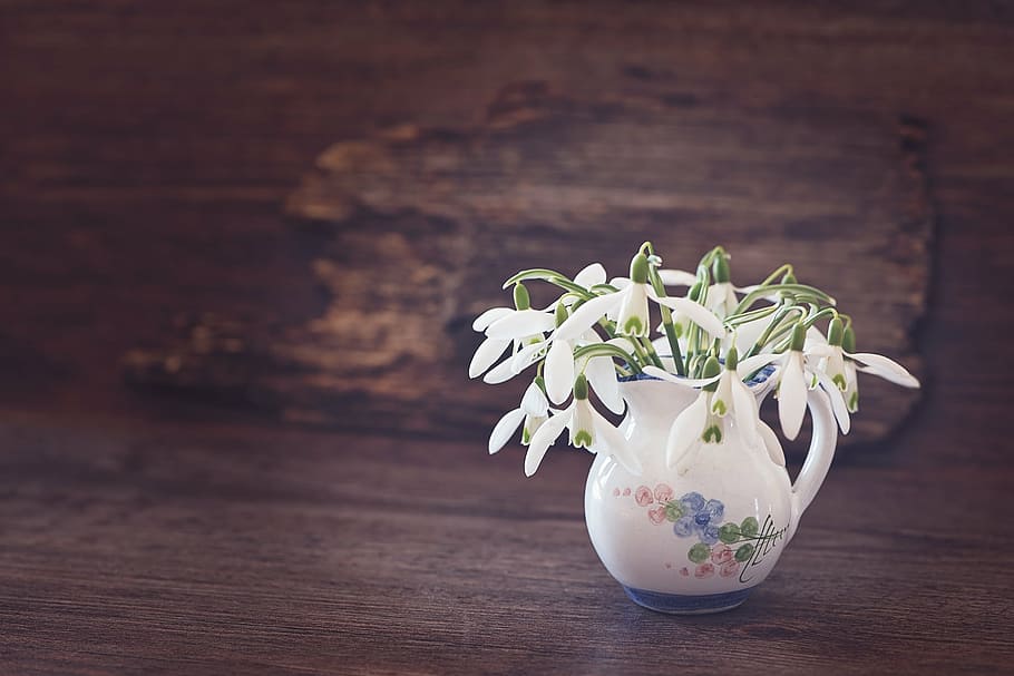 white, petaled flowers, ceramic, vase, brown, surface, snowdrop, flower, spring flower, early bloomer