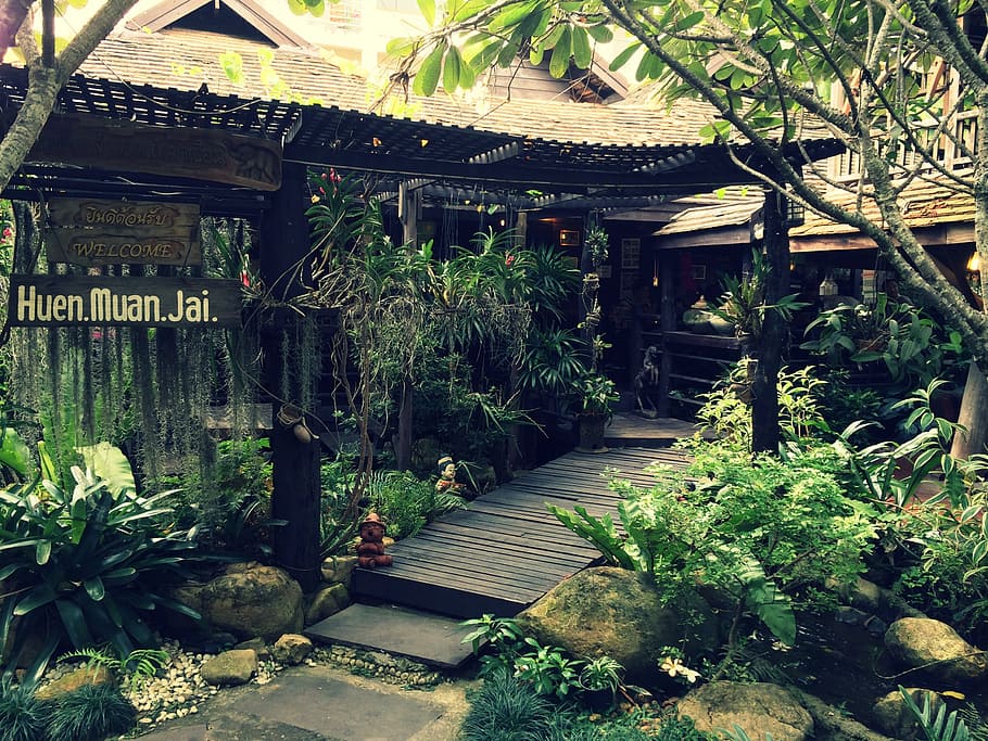 chiang mai, thailand, restaurant, plants, garden, tropical, plant, architecture, built structure, growth