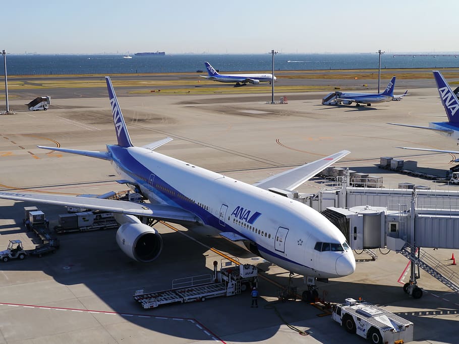 putih, biru, pesawat ana, haneda, bandara haneda, bandara, ana, jet, terminal, landasan pacu