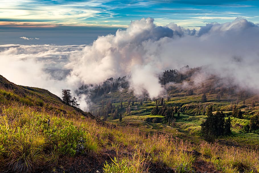 landscape, mountain, cloud, at dusk, mountainside, tambora mountain, sumbawa, indonesia, sky, cloud - sky