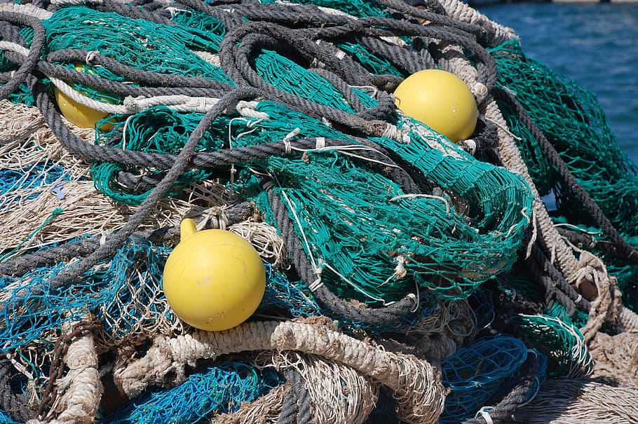 fishing, nets, sea, water, fisherman, nature, fishnet, summer, fishing-net, fishing industry