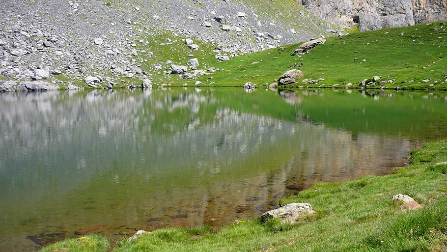 Water, Lake, Mountain, Pyrénées, high mountain, france, south west, calm water, reflection, grass