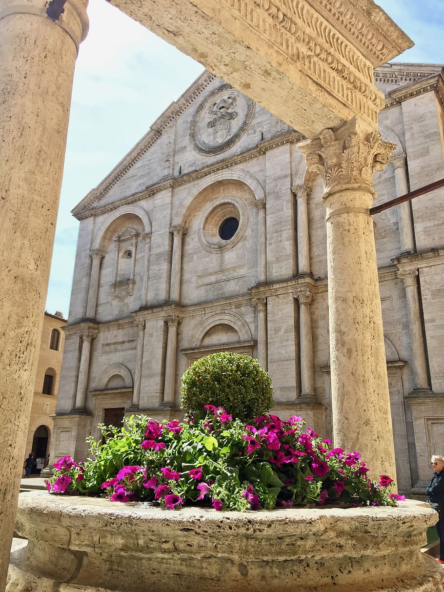 Duomo, Pienza, Pozzo, Dogs, Italy, architecture, built structure, religion, building exterior, flower