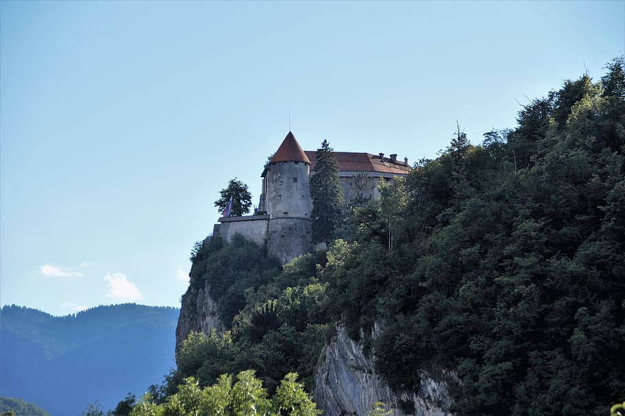 bled castle, bled, rock, monument, slovenia, julian alps, medieval construction, strength, built structure, architecture