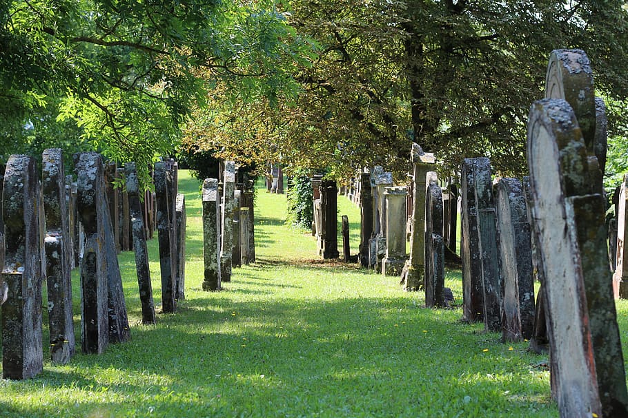 jewish cemetery, tombstone, resting place, memory, last calm, rock carving, plant, tree, grass, in a row