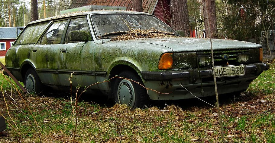 green, station wagon, covered, moss, next, brown, tree, ford, taunus, cars