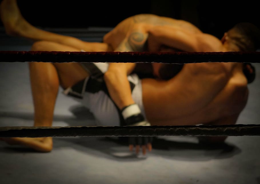 two, men, grappling, mma, wrestling, fighting, ring, sports, athletes, fitness