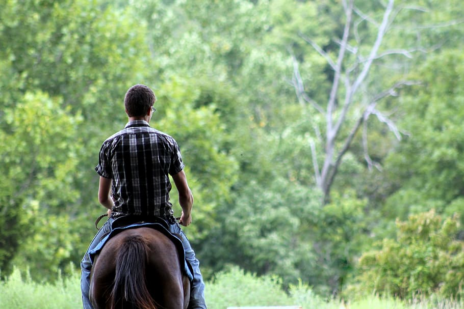 fotografia de bokeh, homem, montando, cavalo, verde, árvores, bokeh, fotografia, montando cavalo, vaqueiro