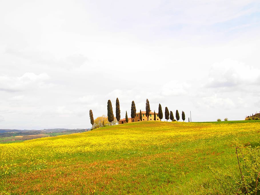 Toscana, Natural, Landscape, natural, landscape, rural scene, nature, field, outdoors, agriculture, sky