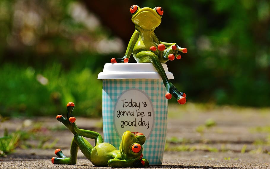 two, tree frog, ceramic, figurines, green, tumbler, beautiful day, joy, frog, coffee