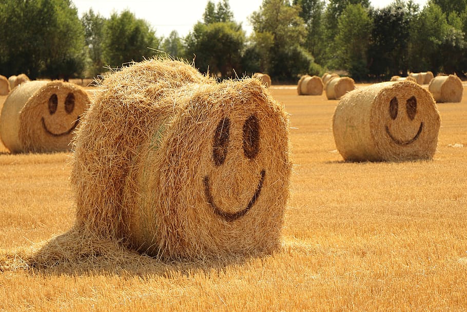 straw, halmballe, agriculture, harvest, summer, happy, smiley, yellow, strohballen, bale