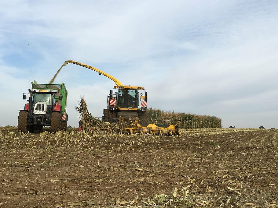 traktor, harvest, corn, agricultural vehicles, agriculture, field, harvest time, twente, machinery, rural scene