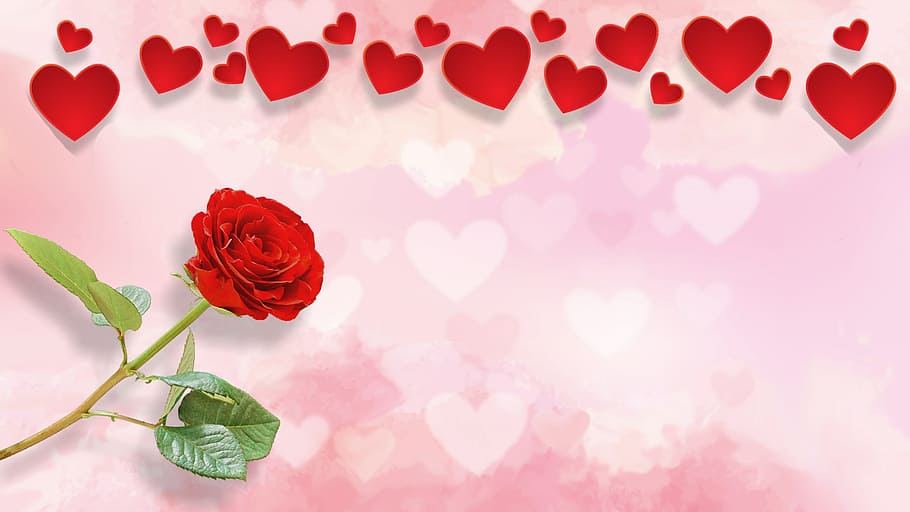red, rose, hearts clip art, valentine's day, love, affection, heart, romance, valentine, romantic