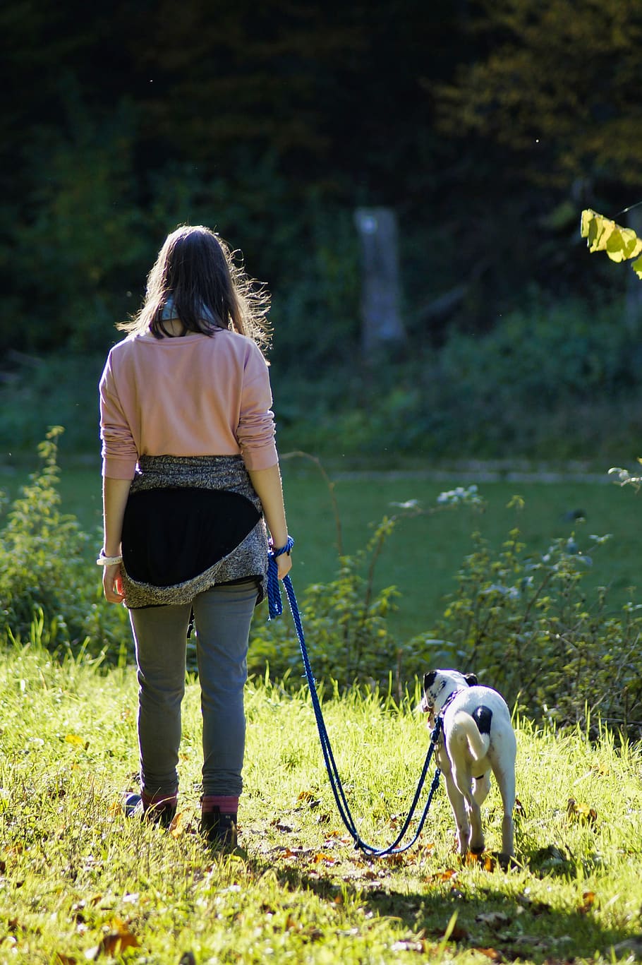 woman, girl, person, dog, human, animal, nature, connected, walk, go