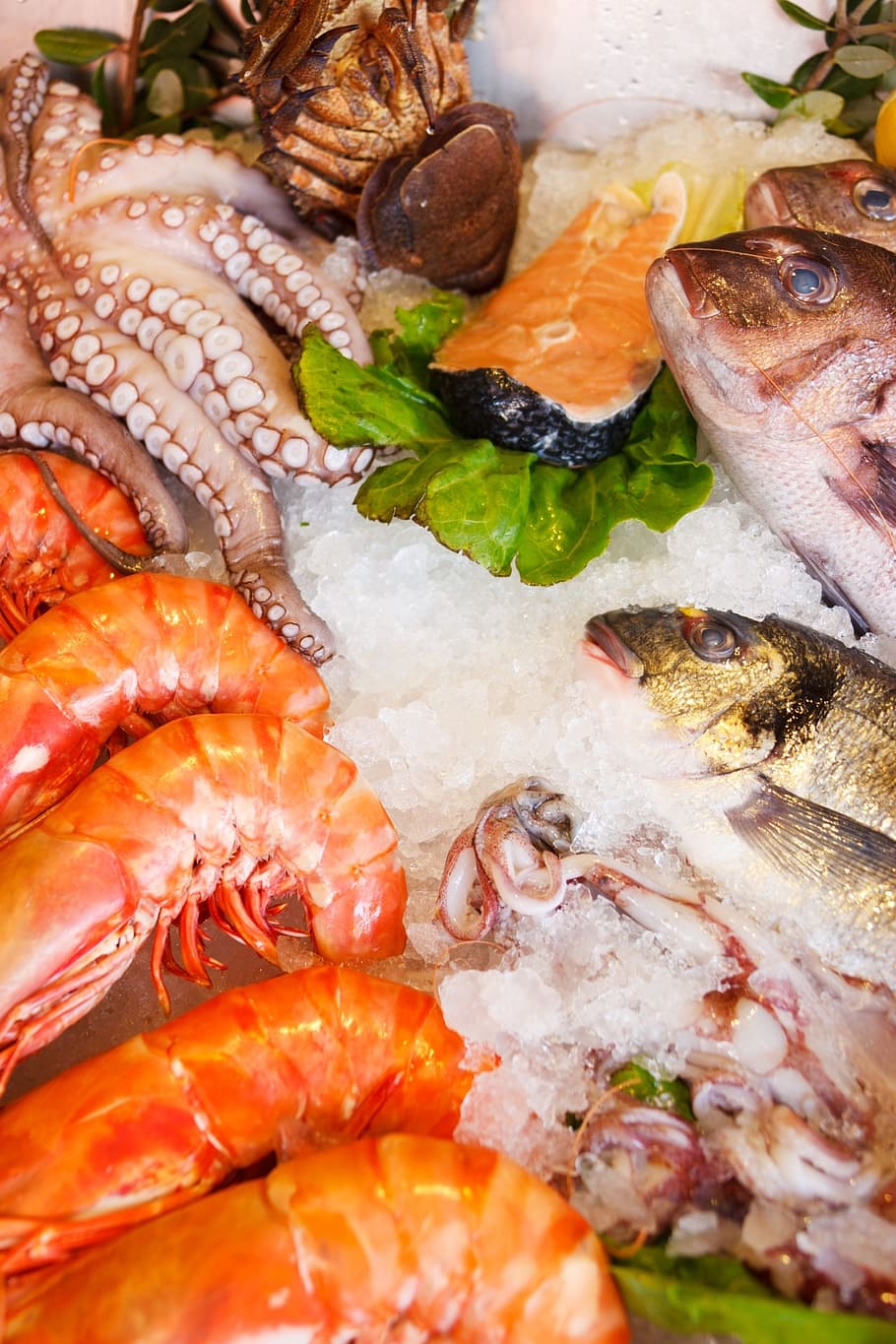 cooked sea foods, seafood, food, healthy, sea, fresh, fish, restaurant, dinner, gourmet