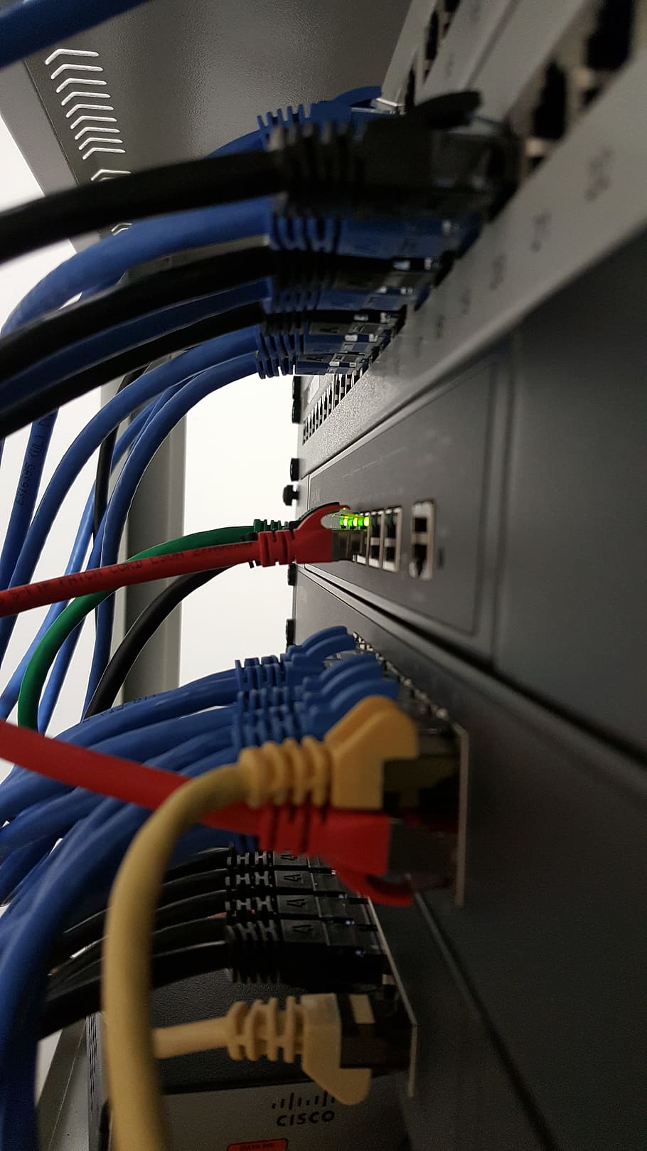 cables de internet, plug-in, conmutador de red, red, lan, cable, conmutador, enrutador, cable de alimentación, cable de conexión