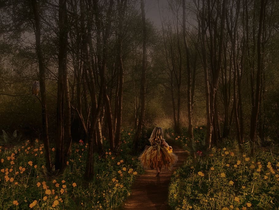 woman, walking, middle, forest, yellow, flower field, fairy tales, child, green, meadow