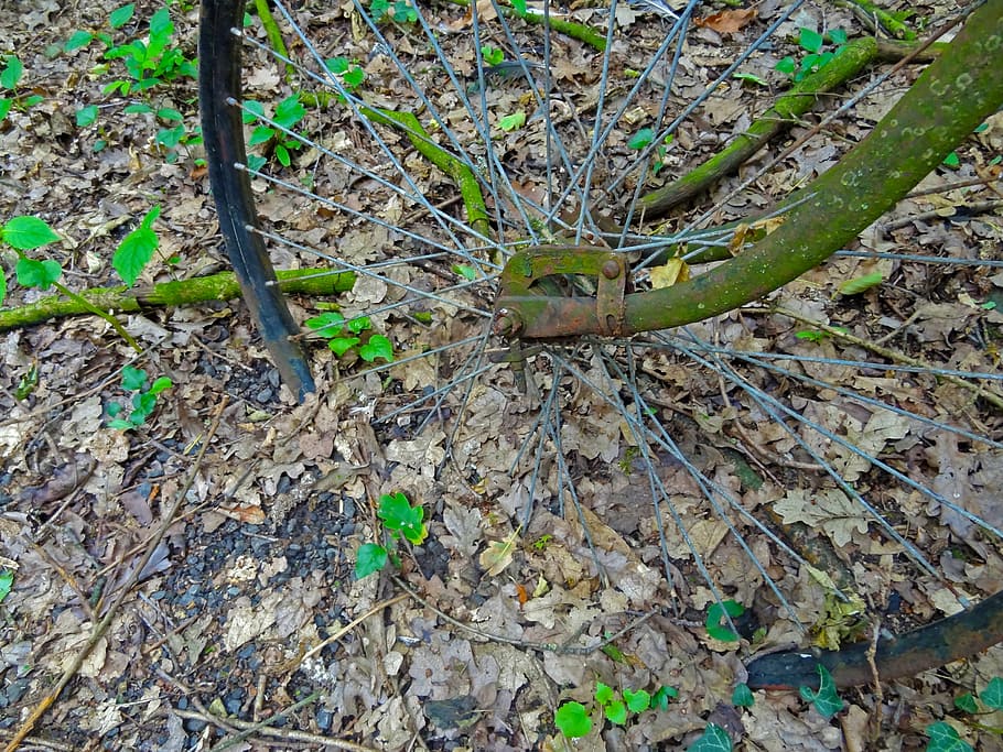 bike, rim, wheel, stainless, nature, forest, decomposition, old, rusty, broken