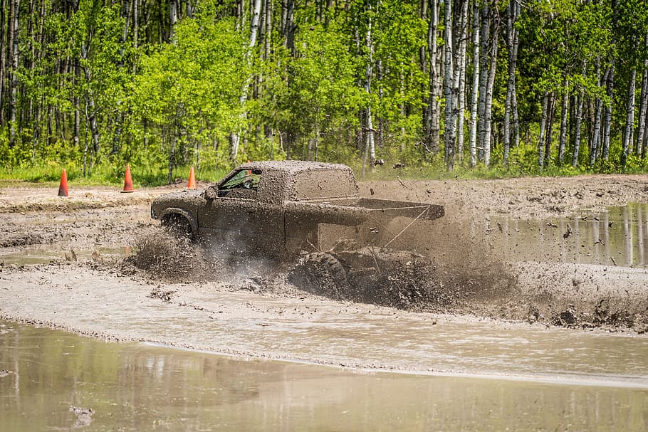 Mud Bog, Truck, Dirty, Outdoors, Extreme, 4wd, 4x4, swamp, off-road, motorsport