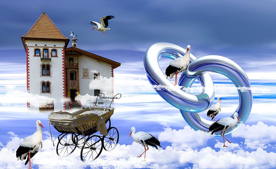 white, house, chain, bassinet stroller collage, brown house, bird, wedding, children, young, stork