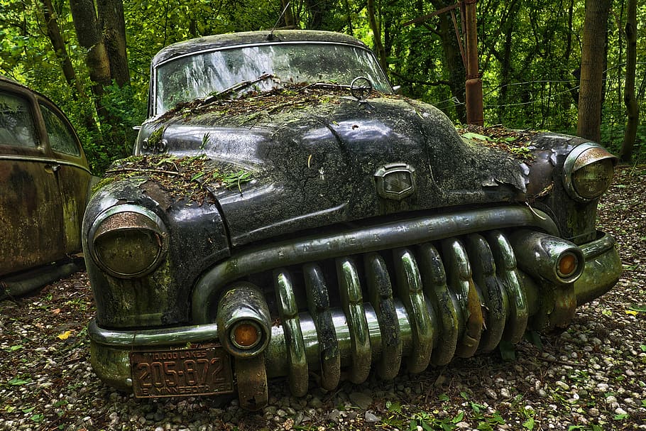 black, vehicle, parked, green, trees, auto, car cemetery, oldtimer, old, rust