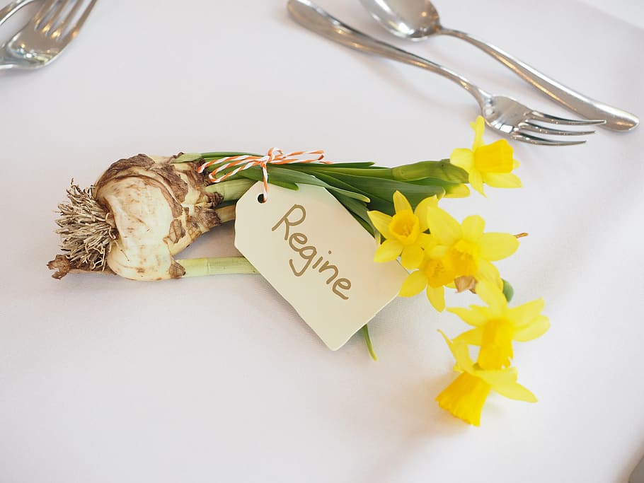 yellow, daffodils, white, surface, nameplate, celebration, birthday, birthday table, birthday decoration, wedding table
