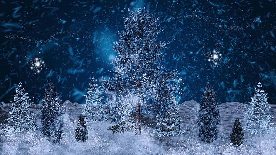 nieve, cubierto, pinos, invierno, invernal, paisaje nevado, navidad, naturaleza, nevado, motivo navideño
