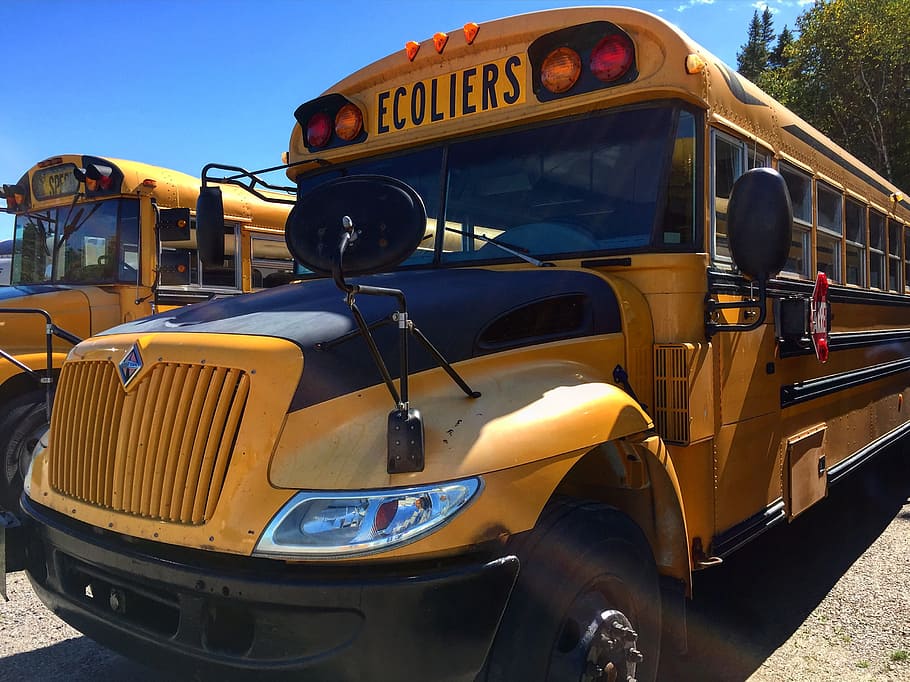 Autobús, Canadá, escuela, público, chevrettes, transporte, niños, autobús escolar, educación, regreso a la escuela