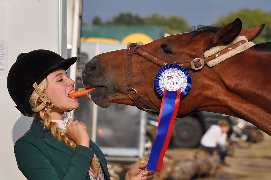 woman, biting, carrot, horse, girl, winner, complicity, equestrian, young, female