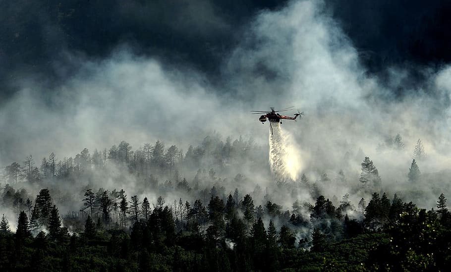 helicopter spraying, green, forest, colorado springs, colorado, trees, woods, fire, helicopter, sky