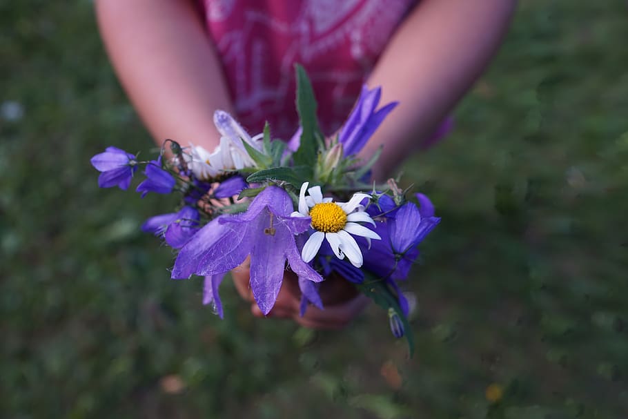 flores, strauss, púrpura, manos, niño, dar, regalo, día de la mujer, festival, celebración