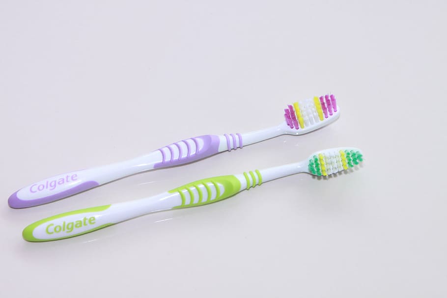 two, purple, green, colgate toothbrushes, colgate, colored, dental, hygiene, oral, teeth