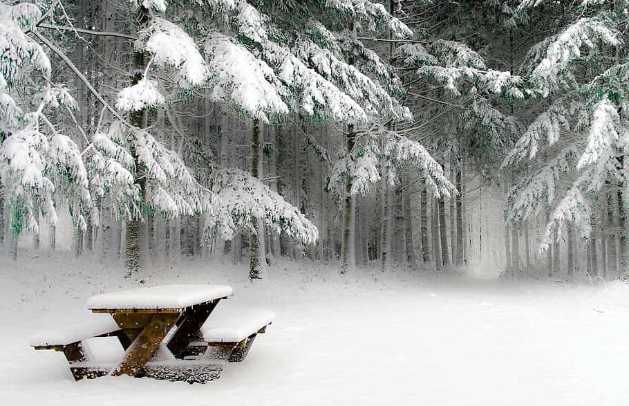 brown, wooden, picnic table, winters, snow, cold, nature, field, tree, fir