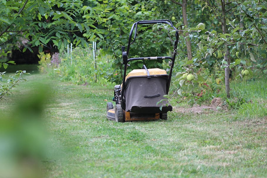 lawn mower, grass, lawn, garden, green, haircuts, meadow, summer, machine, gardening