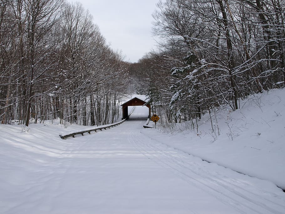 paisaje, invierno, nieve, escénico, puente cubierto, camino, pista de esquí, dunas del oso dormido, a orillas del lago nacional, Michigan