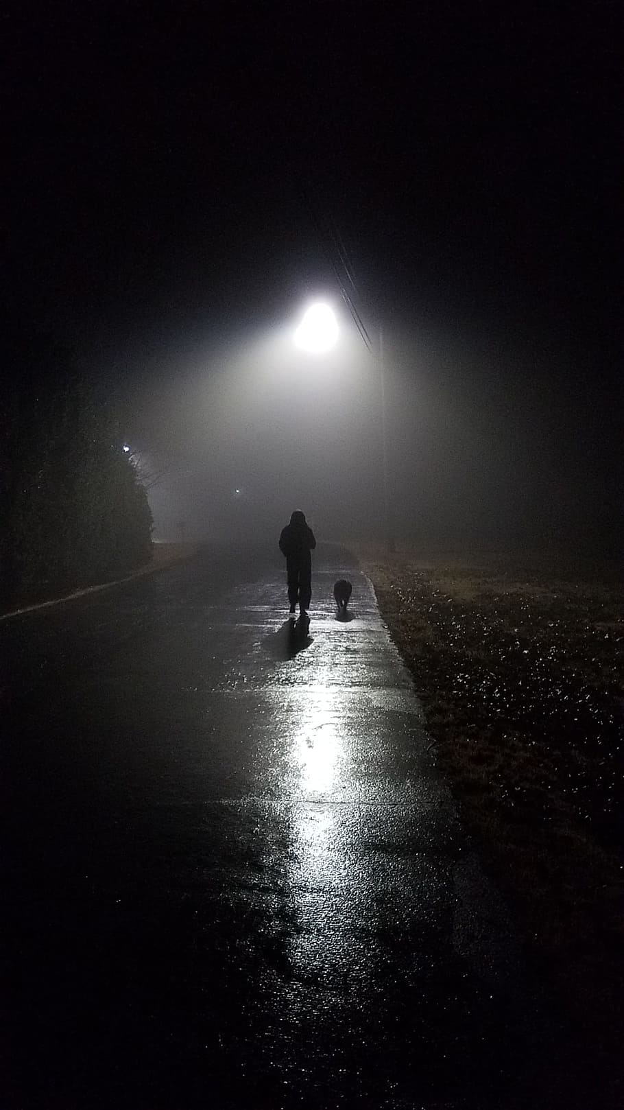 person jogging, road, Night, Fog, Dog, Evening, Black, Mist, black, mist, outdoor