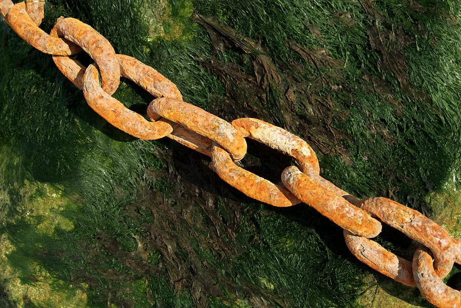 brown, steel chain, green, surface, rusty, chain, link, iron, steel, old